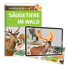 Säugetiere im Wald